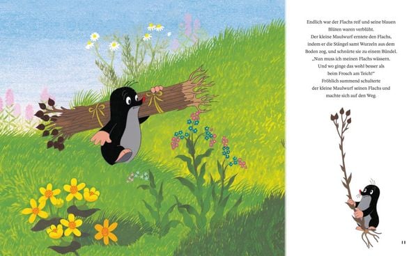 Wie der kleine Maulwurf zu seiner Hose kam (Buch) Wie der kleine Maulwurf zu seiner Hose kam (Buch)