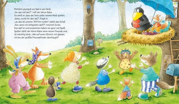 Der kleine Rabe Socke - Alles Frühling (Buch)