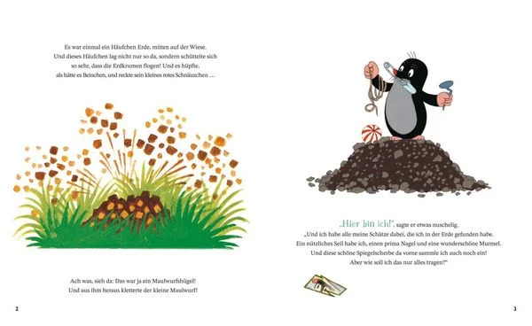 Wie der kleine Maulwurf zu seiner Hose kam (Buch) Wie der kleine Maulwurf zu seiner Hose kam (Buch)