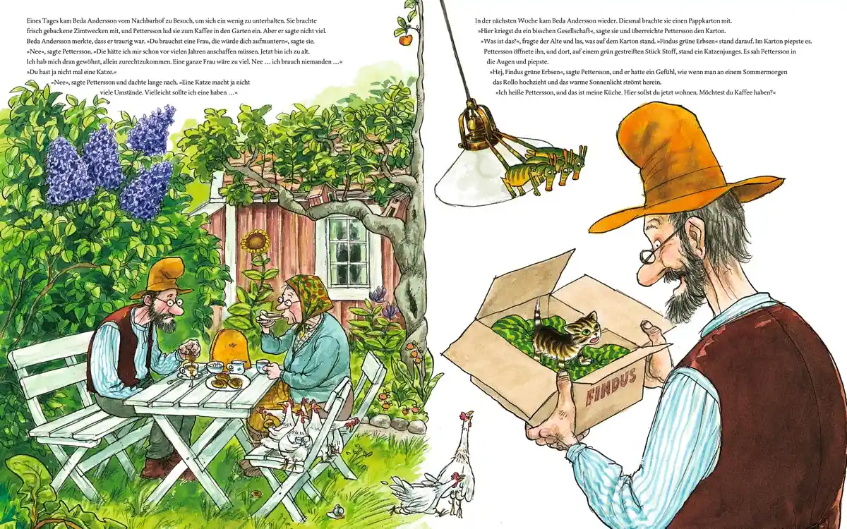 Pettersson und Findus - Wie Findus zu Pettersson kam (Buch)