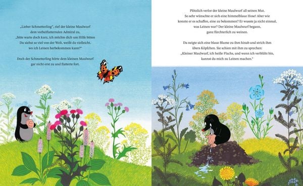 Wie der kleine Maulwurf zu seiner Hose kam (Buch) Wie der kleine Maulwurf zu seiner Hose kam (Buch)