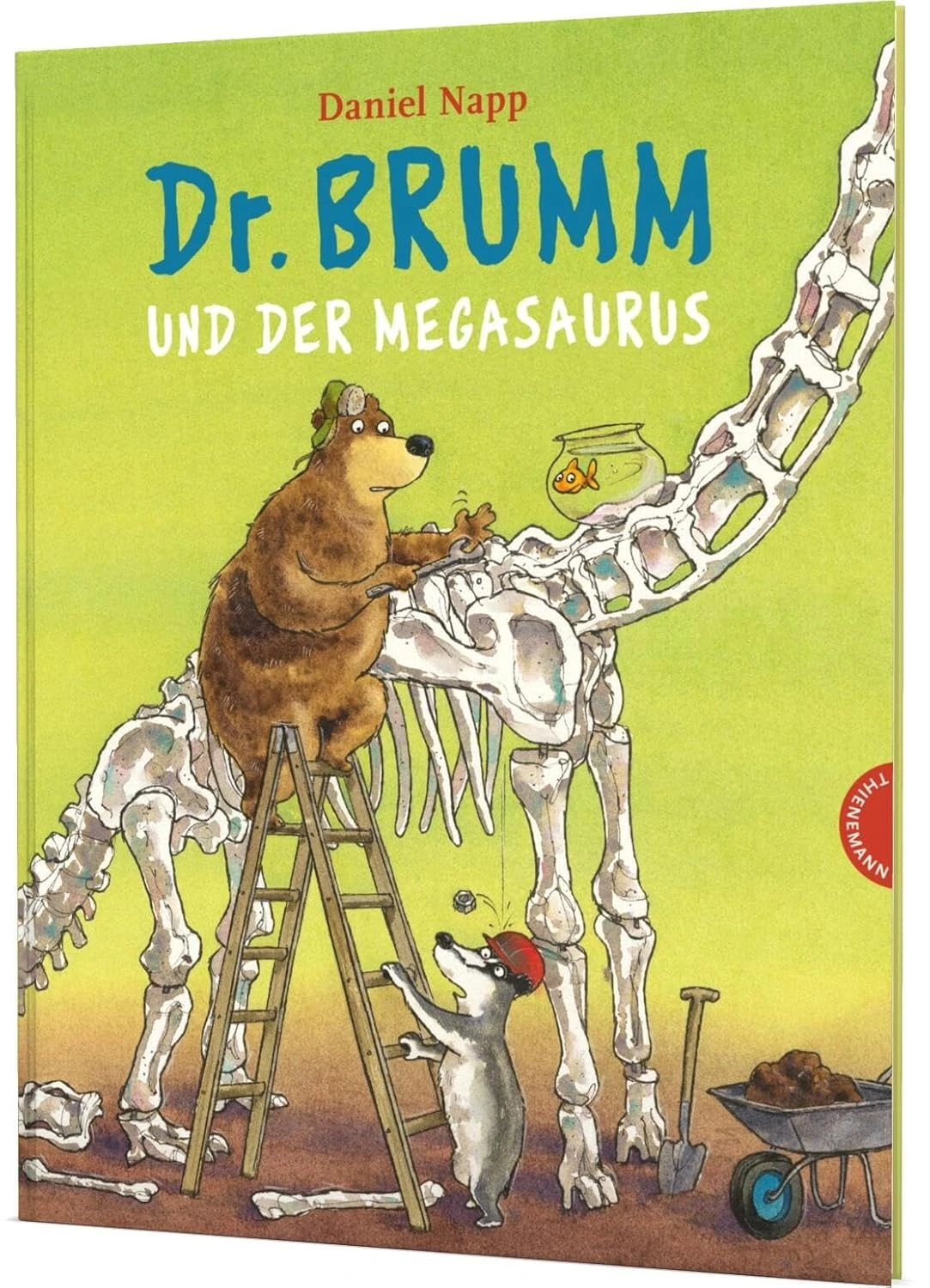 Metasaurus Dr. Brumm und der Megasaurus (Buch)