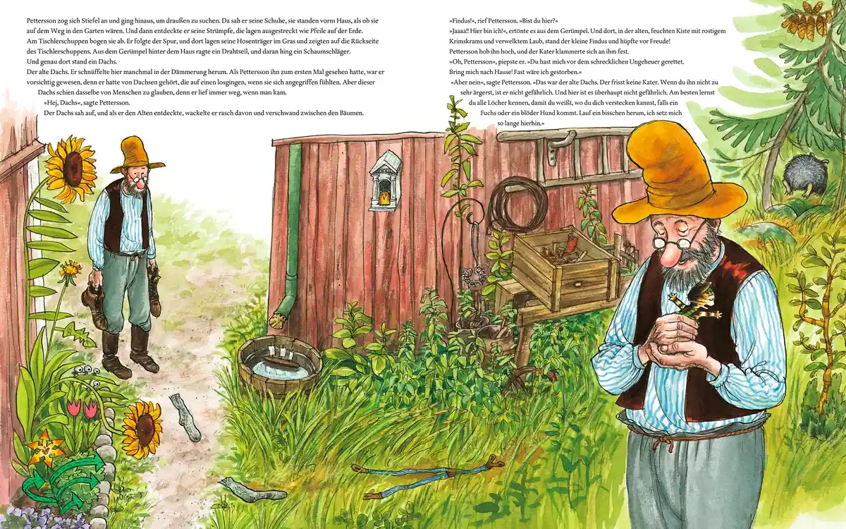 Pettersson und Findus - Wie Findus zu Pettersson kam (Buch)