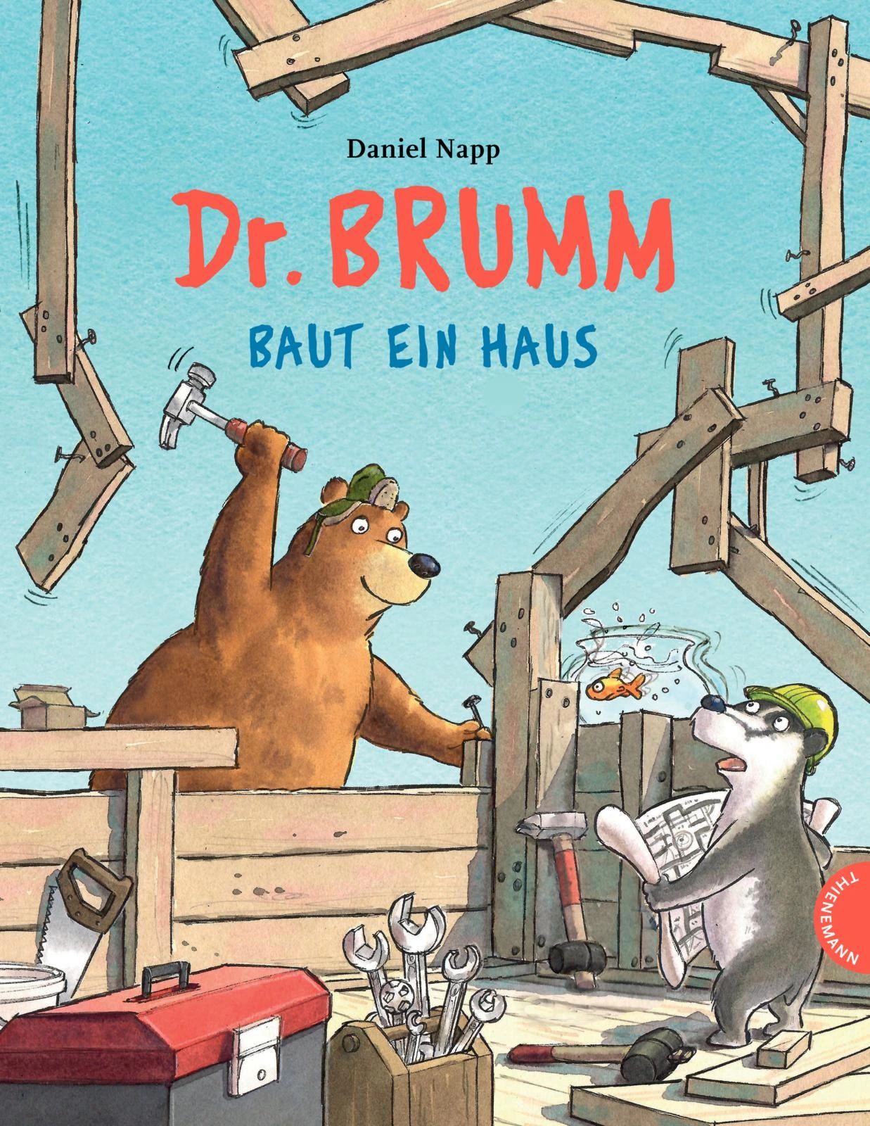 Dr. Brumm baut ein Haus (Buch) dr brumm baut ein haus buch cover