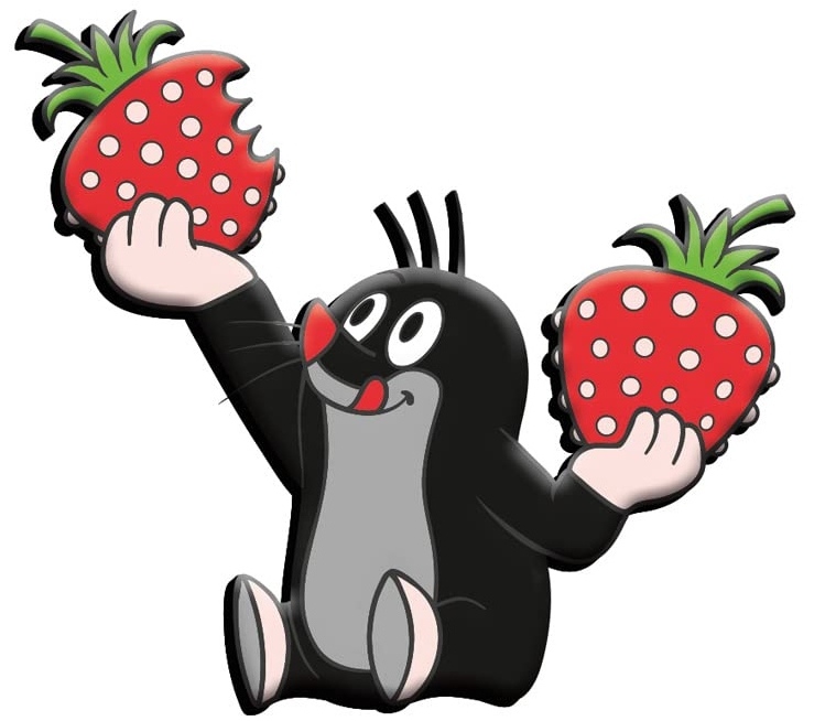 der-kleine-maulwurf-3d-magnet-erdbeerecJBifsd6LZTc2 Der kleine Maulwurf 3D Magnet Erdbeere